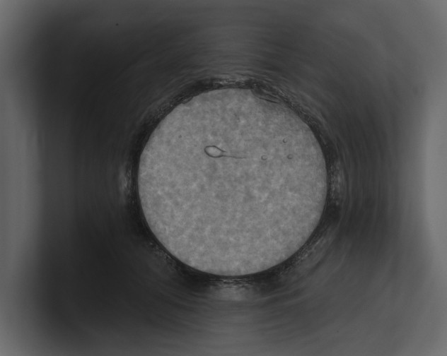 X0000100470608200807111042