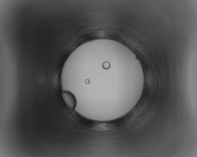 X0000100470611200807111042