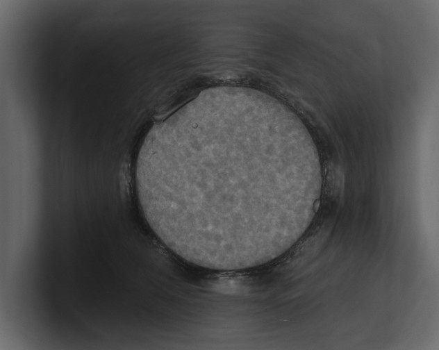 X0000100470612200807111042