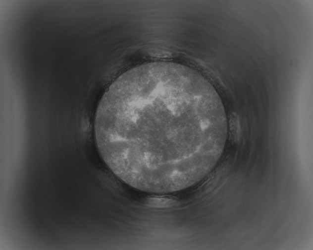 X0000100470614200807111042