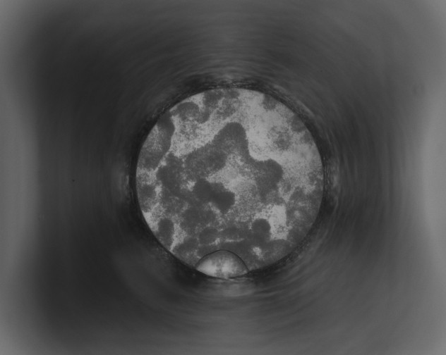 X0000100470615200807111042