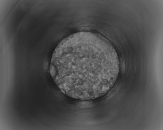 X0000100470619200807111042