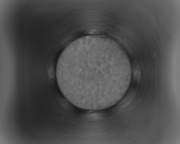 X0000100470620200807111042