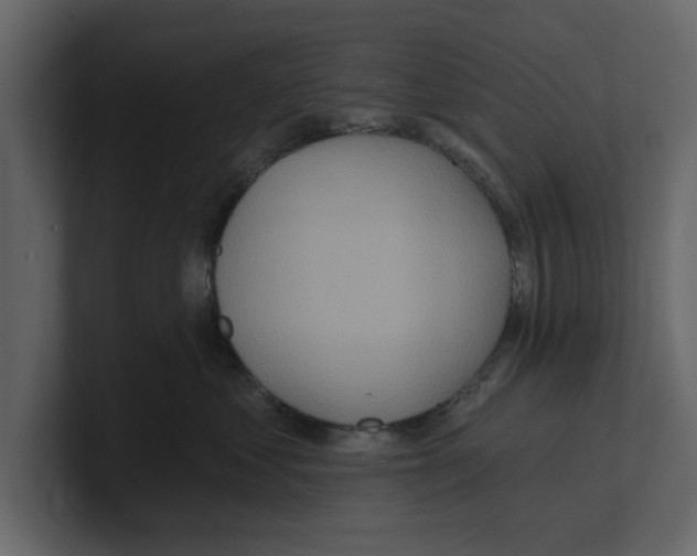 X0000100470621200807111042