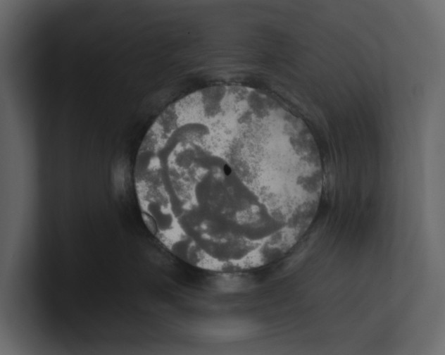 X0000100470623200807111042