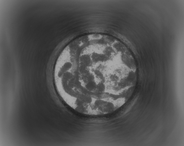 X0000100470625200807111041