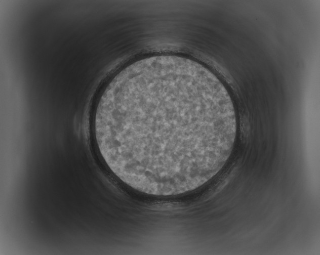 X0000100470629200807111041