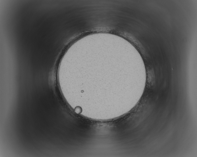 X0000100470632200807111042