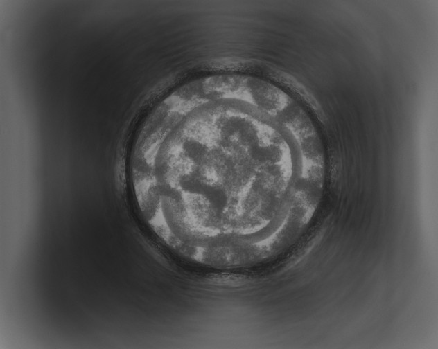 X0000100470633200807111042