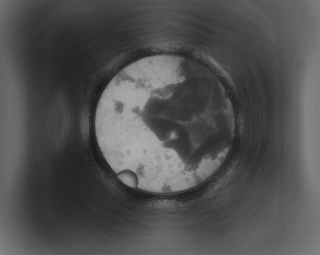 X0000100470637200807111042