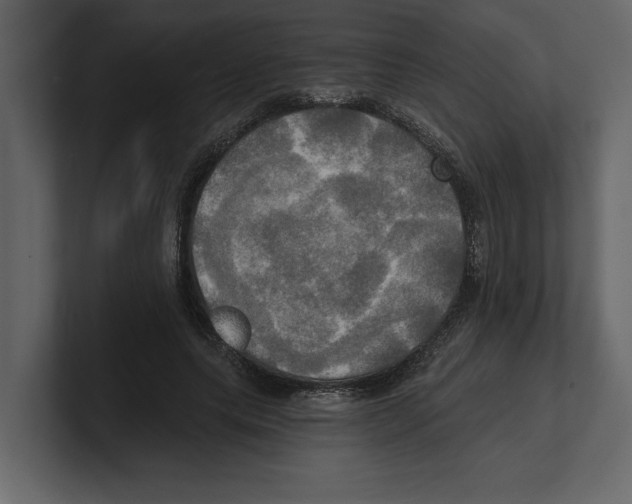 X0000100470639200807111042