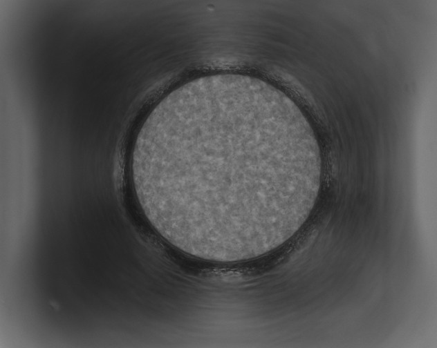 X0000100470640200807111042