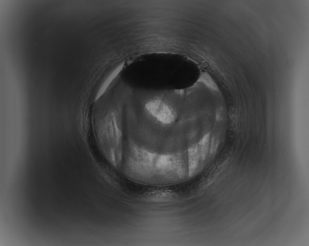 X0000100470642200807111042