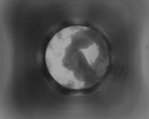 X0000100470643200807111042