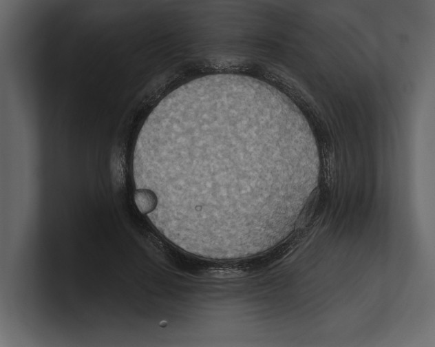 X0000100470644200807111042