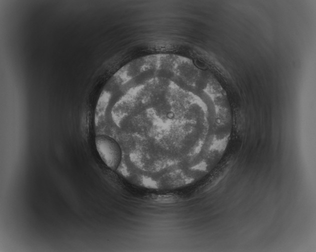 X0000100470645200807111042