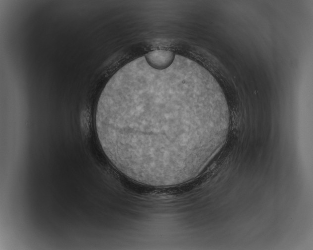 X0000100470648200807111042