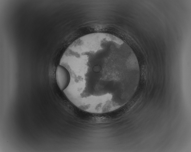 X0000100470650200807111042