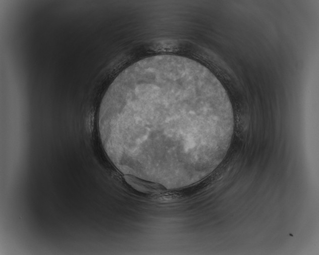 X0000100470652200807111042