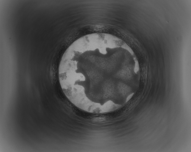 X0000100470653200807111042