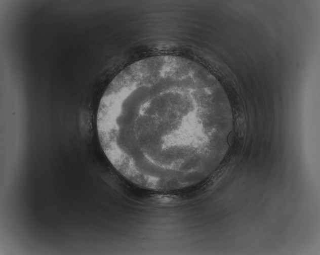 X0000100470654200807111042