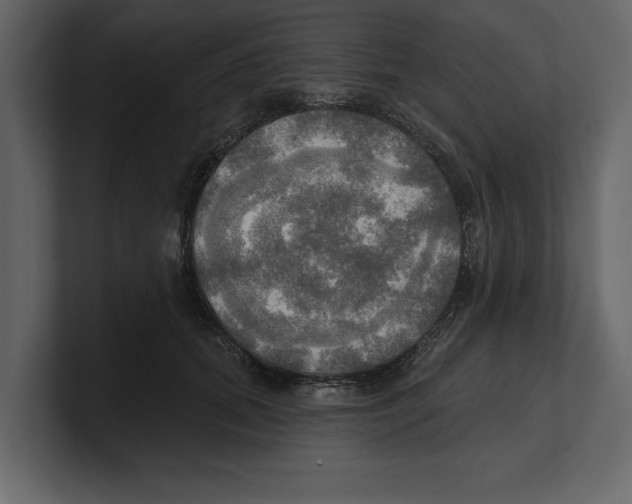 X0000100470655200807111042