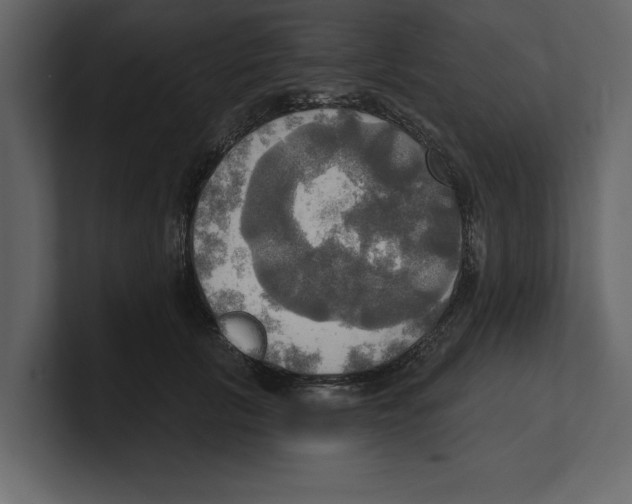 X0000100470657200807111042