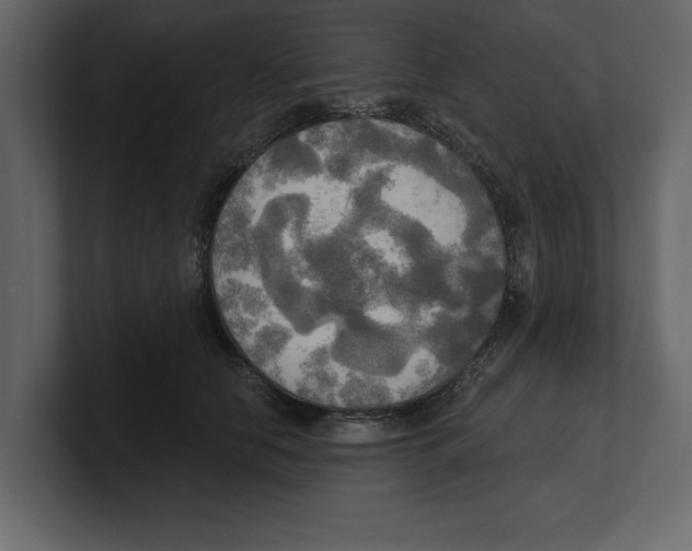 X0000100470658200807111042