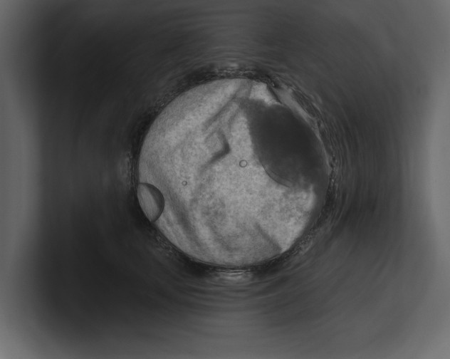 X0000100470659200807111042