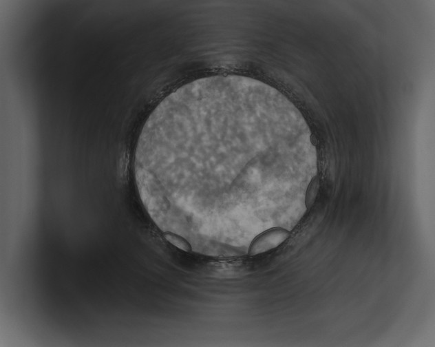 X0000100470660200807111042