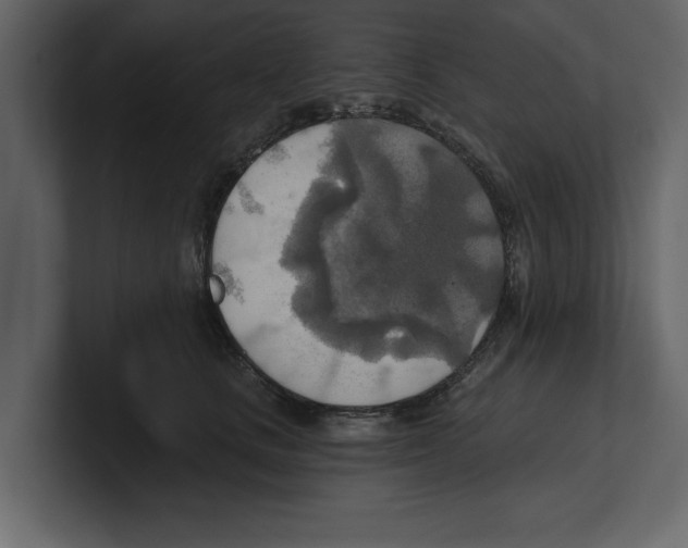 X0000100470661200807111042