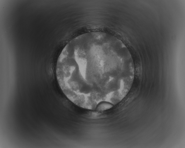 X0000100470662200807111042