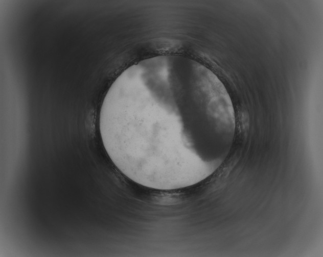 X0000100470664200807111042