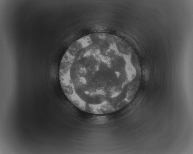 X0000100470665200807111042