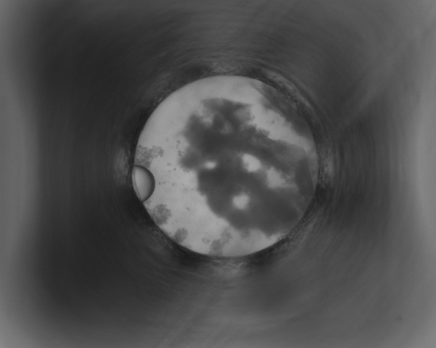 X0000100470667200807111042