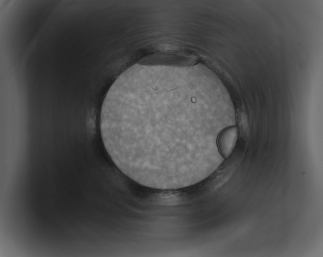 X0000100470668200807111042