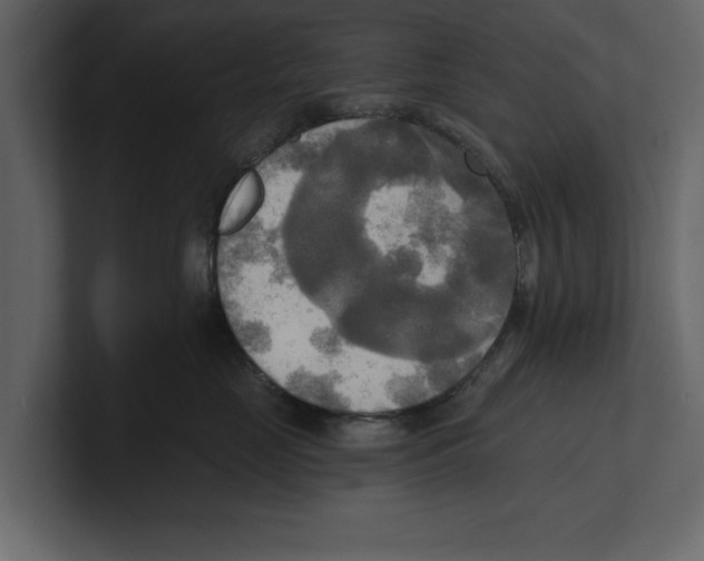 X0000100470669200807111042