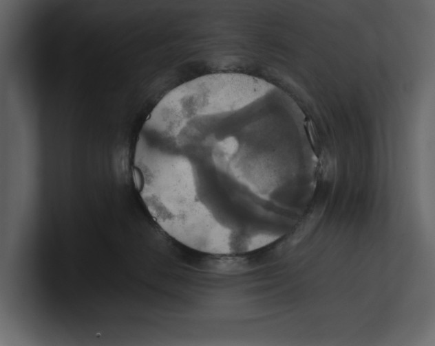 X0000100470670200807111042