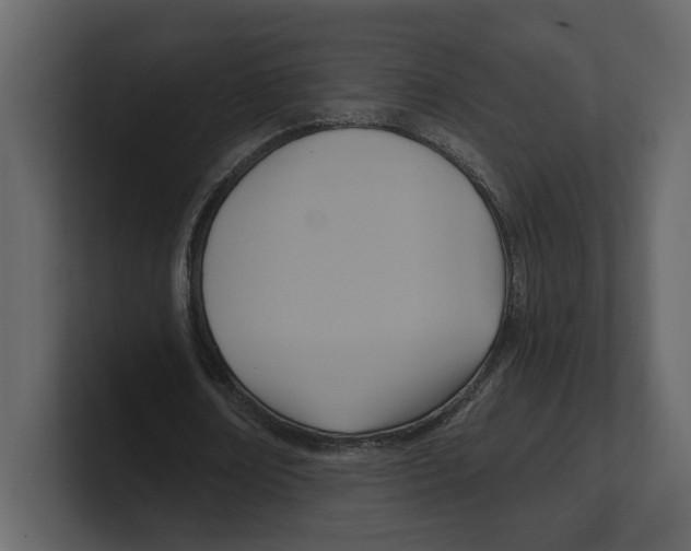 X0000100470674200807111041