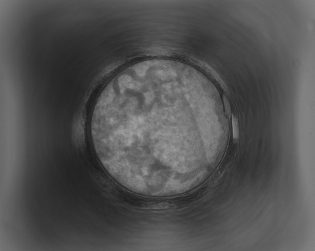 X0000100470675200807111041