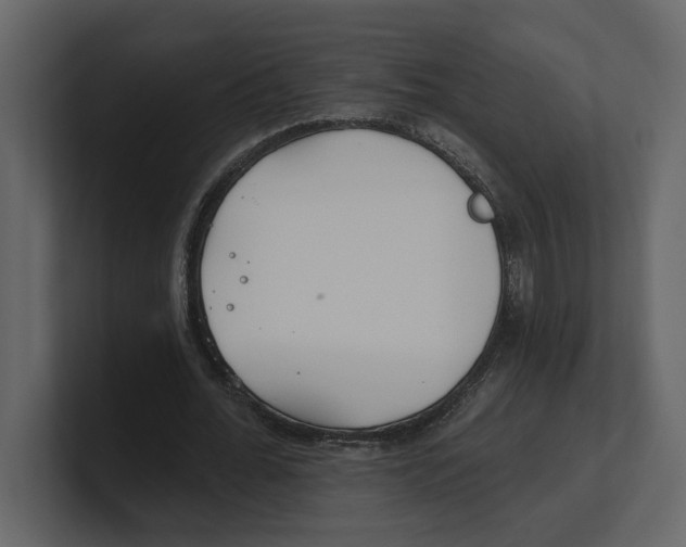 X0000100470676200807111041