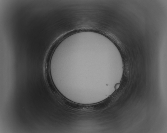 X0000100470680200807111041