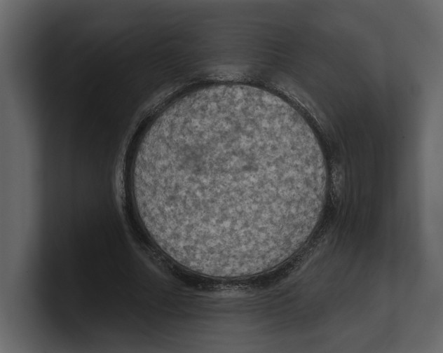 X0000100470682200807111041