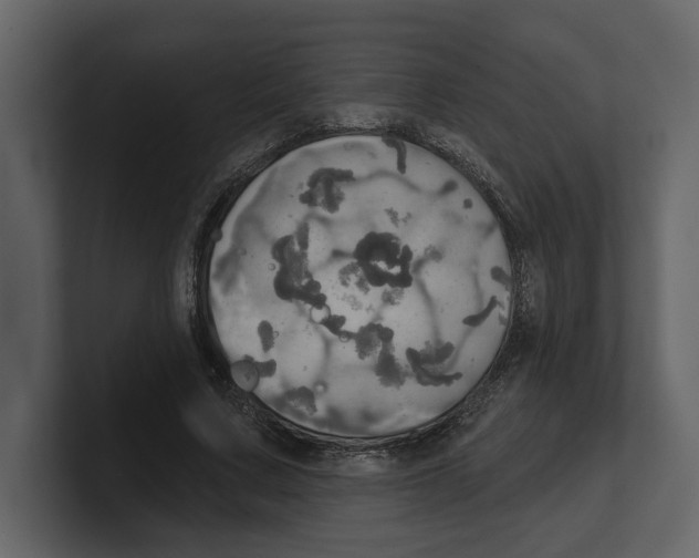 X0000100470683200807111041