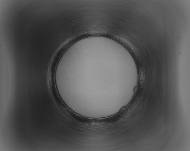 X0000100470684200807111041