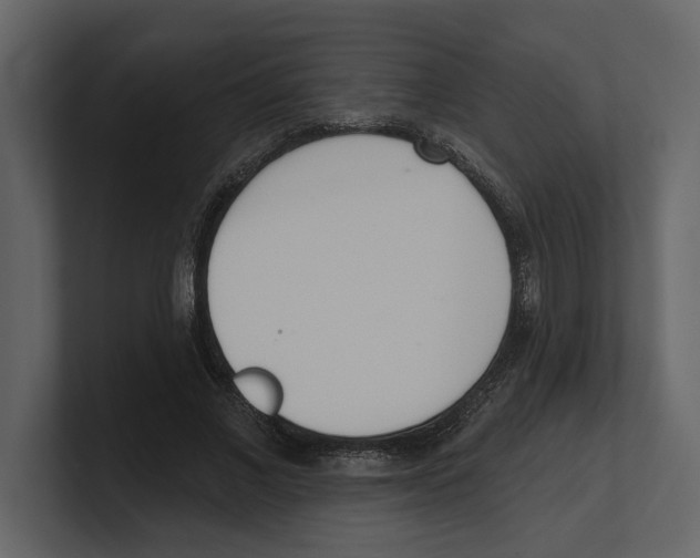 X0000100470685200807111041