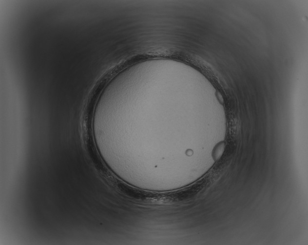 X0000100470688200807111041