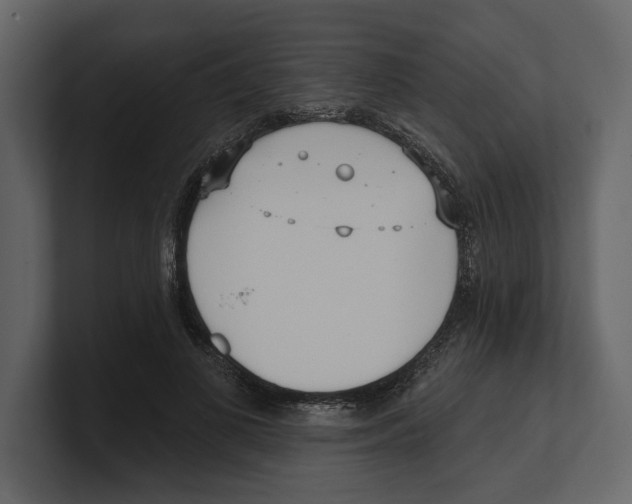 X0000100470693200807111041