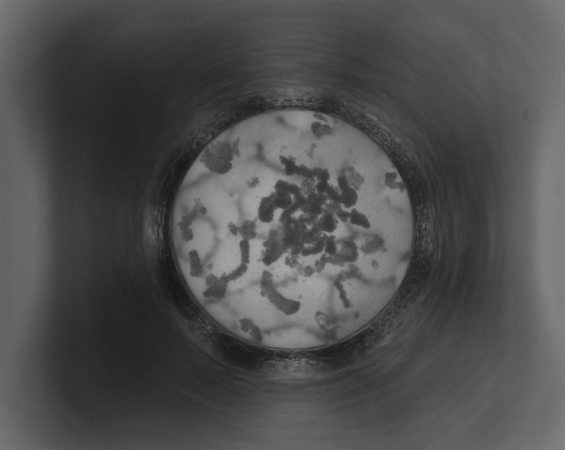 X0000100470695200807111041