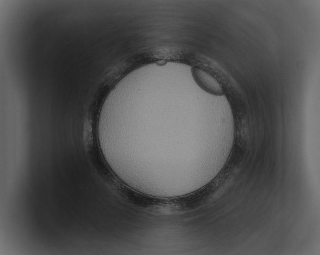 X0000100470696200807111041